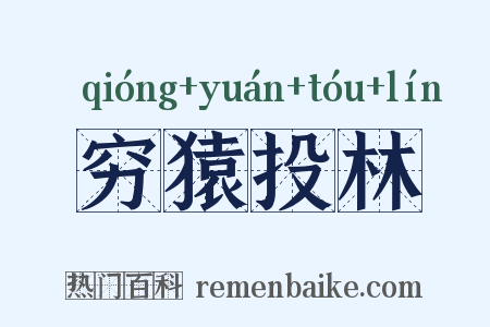穷猿投林是什么意思的图片